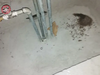 多伦卫生间测漏水价格明细